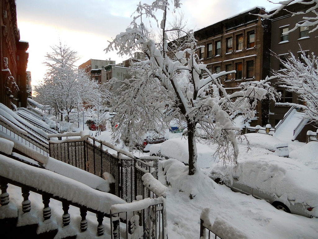 Harlem Snow, NYC