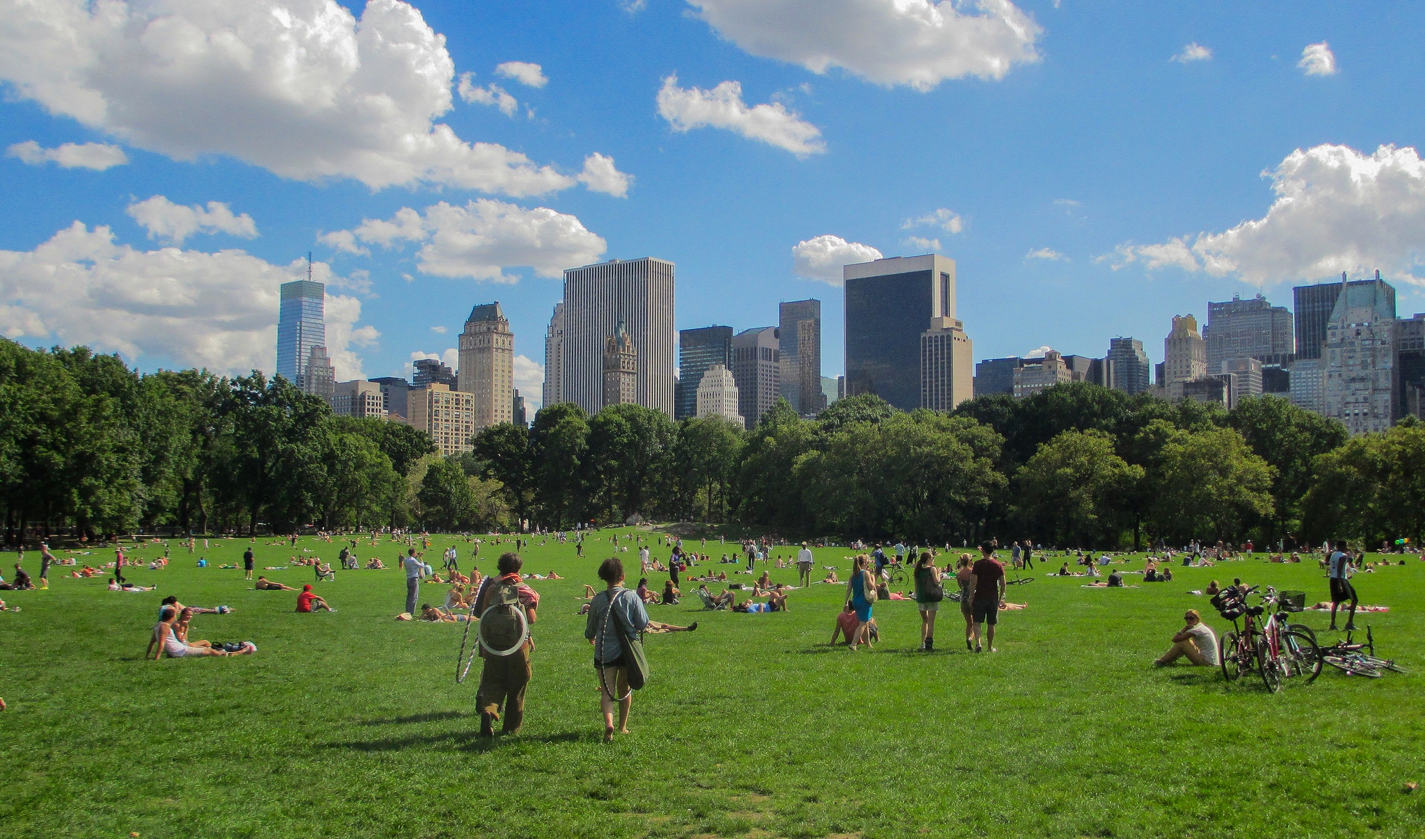 Central Park Sheep Meadow, NYC